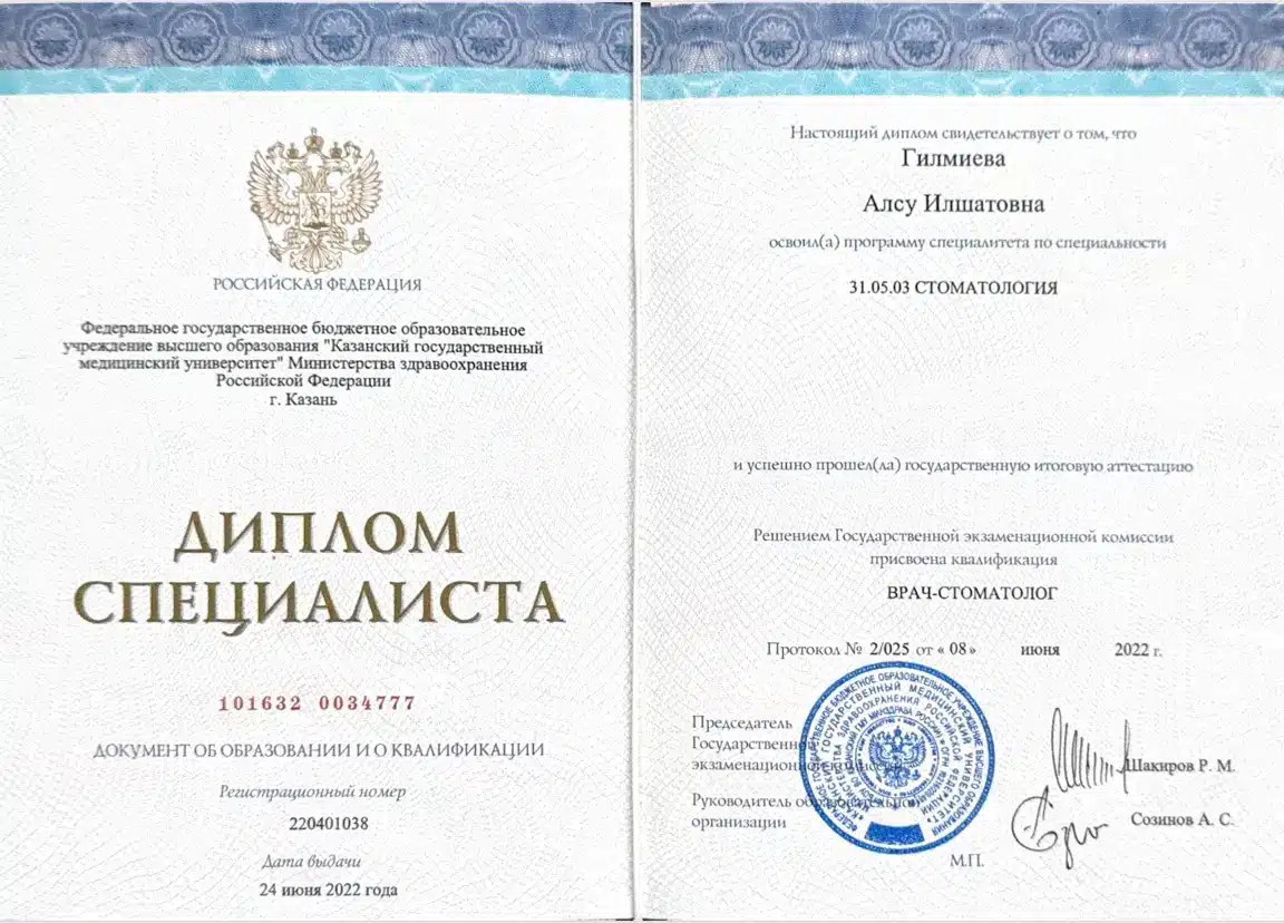 Сертификат — Хамидуллина Алсу Илшатовна