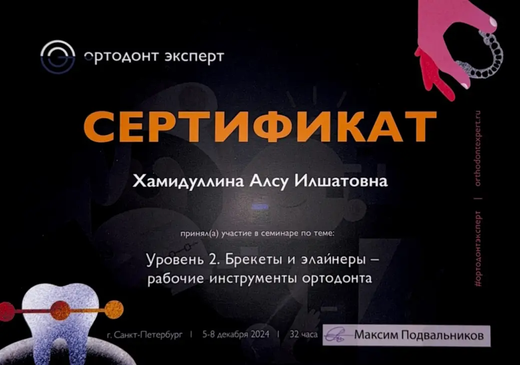 Сертификат — Хамидуллина Алсу Илшатовна
