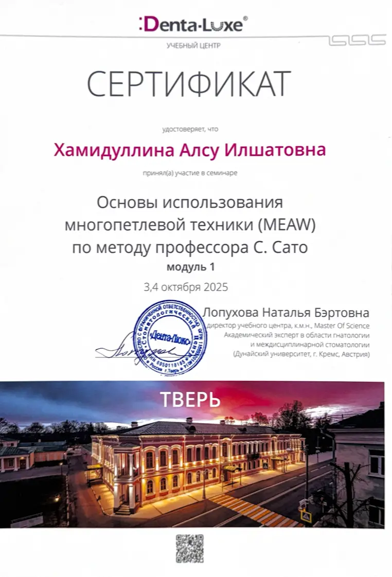 Сертификат — Хамидуллина Алсу Илшатовна