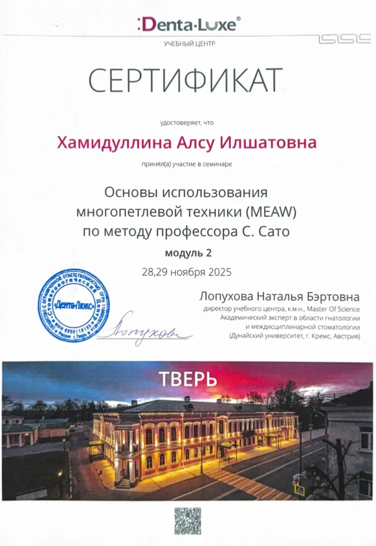 Сертификат — Хамидуллина Алсу Илшатовна