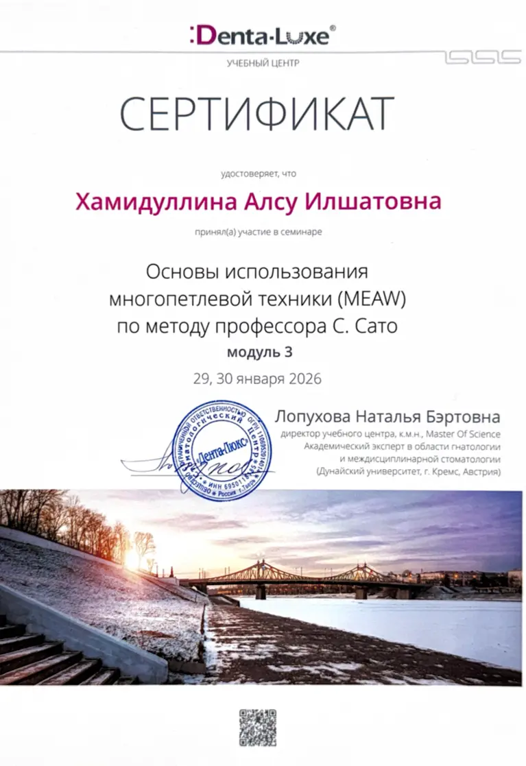 Сертификат — Хамидуллина Алсу Илшатовна